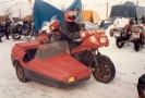 Reinhard 1985_9